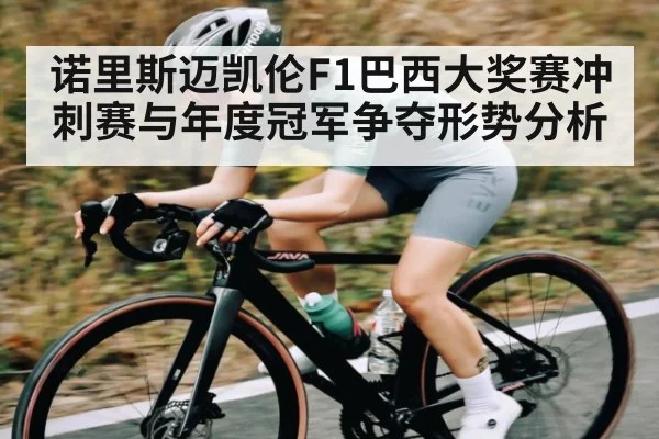 诺里斯迈凯伦F1巴西大奖赛冲刺赛与年度冠军争夺形势分析